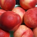 논곡한우마을 이미지