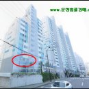 동부-전하-전하-10 이미지