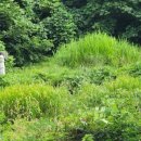 학삼서원 이미지