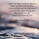 에이낙인베스트 | [일러스트 모비 딕] , 8주간 하브루타 독서토론 완결! - 아! 스타벅이여!