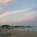 소나무민박 이미지