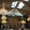 디자인헤세드 | [26년 8월] 강남 토브헤세드 웨딩홀 투어 후기 & 견적 공유 💌