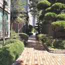 영일공인중개사사무소 이미지