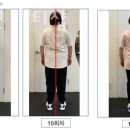 선샤인 피티샵 이미지