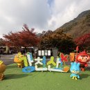 강천산 길 | 전북 순창 강천산 단풍놀이 후기 | 병풍폭포·출렁다리·왕자봉 단풍명소 총정리