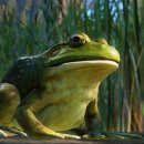 (주)플래닛 이미지