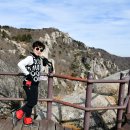 남해-295 이미지