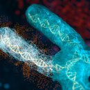 미분과적분 이미지