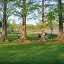 디지털카메라 사진예술 | 삼성디카 vluu nv3 - 사진 모음