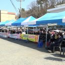 서해태양광발전소 이미지