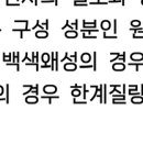 찬드라세카 한계질량 이미지