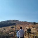 오름라이팅
