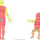 화상2 네이버블로그