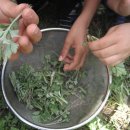 삼생초등학교 이미지