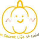 호박셀프빨래방 이미지