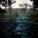 ㈜스카이 | 이제는 살리단길이 된 <살목지> 후기(CGV 스피드쿠폰 이용)