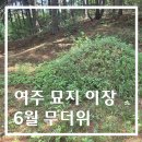 여주장묘개발
