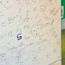 마이리틀메이트 | 혼여에서 같여가 되. 군산_1편🌿