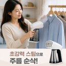 다리미 | 오스너 아이핸디 스팀다리미 후기, 여행용 미니 다리미 추천