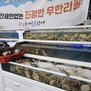 황금조개 튼튼장어 이미지