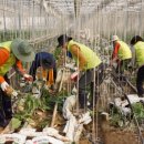 최정식 농장 이미지