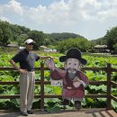 대릉원 Daum카페