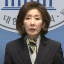 나경원 기자회견 &#34;대통령 52일간 불법 구금한 관계자 반드시 수사&#34; 이미지