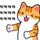 구구제제 이미지