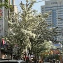 WR(대구광역시 남구)-28[대명로]-하-6 | 🎡 대구여행 뚜벅이 여행코스 (2박3일)