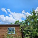 그린에덴펜션 | 단양 감성 숙소 그린에덴 예쁜 계곡뷰 독채 펜션 추천 숲속의 작은 집 바베큐 파티