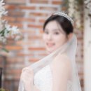 웨딩아리아나 | 아리아나 웨딩 본식 스냅 촬영 후기 - 대구본식스냅 더고백