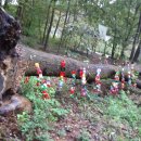 아산조방원미술관 이미지