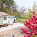 하늘별빛펜션 이미지