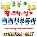 ★운서동 카페거리 H2구역 3층짜리 점포주택 14억급매매★ 이미지