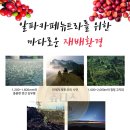 엔잭타커피