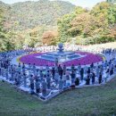 성철큰스님 열반32주기 사리탑전3000배기도 공양물 도반님들의 동참 기다립니다()()()~ 이미지