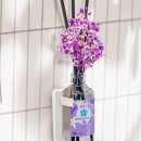 향기열두달