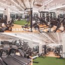 아크피티스튜디오 | 서울 헬스장 아크피티스튜디오 강남역점 업체 정보 후기