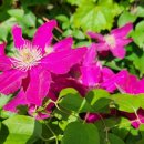 하늘오두막 이미지