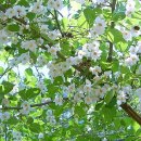 이동1통 이미지