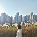 바르다 김인주 치과의원 이미지