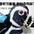 야생동물 멸종위기 친구들을 구해줘 | 위치 추적되는 인형으로 멸종 위기 동물 후원