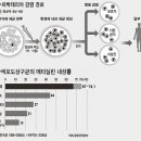 고려슈퍼 이미지