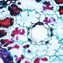 (주)도성기업 이미지