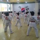 태권박사 체육관 이미지