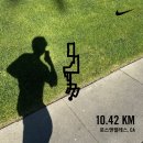 원호카서비스 | LA 여행기 - 2