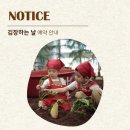 고마워토토 광교점 후기_10월 호박, 무 / 11월 지렁이분변토 / 12월 비트, 석류