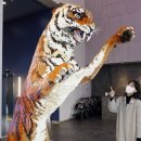 갤러리아 광교 이미지