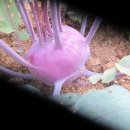 최종화농장 이미지