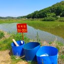 덕우낚시터 이미지